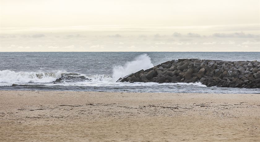 Espinho-11